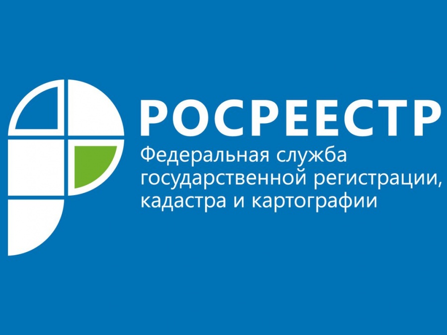 Прямые линии Росреестра