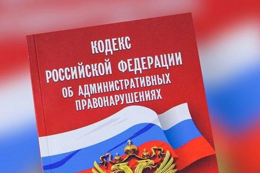 Усилена ответственность за правонарушения, связанные с хранением, уничтожением, культивированием растений, содержащих психотропные вещества либо их прекурсоры