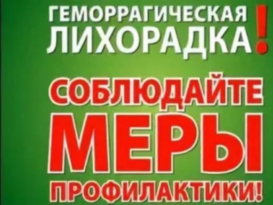 О профилактике геморрагической лихорадки с почечным синдромом в осенний период