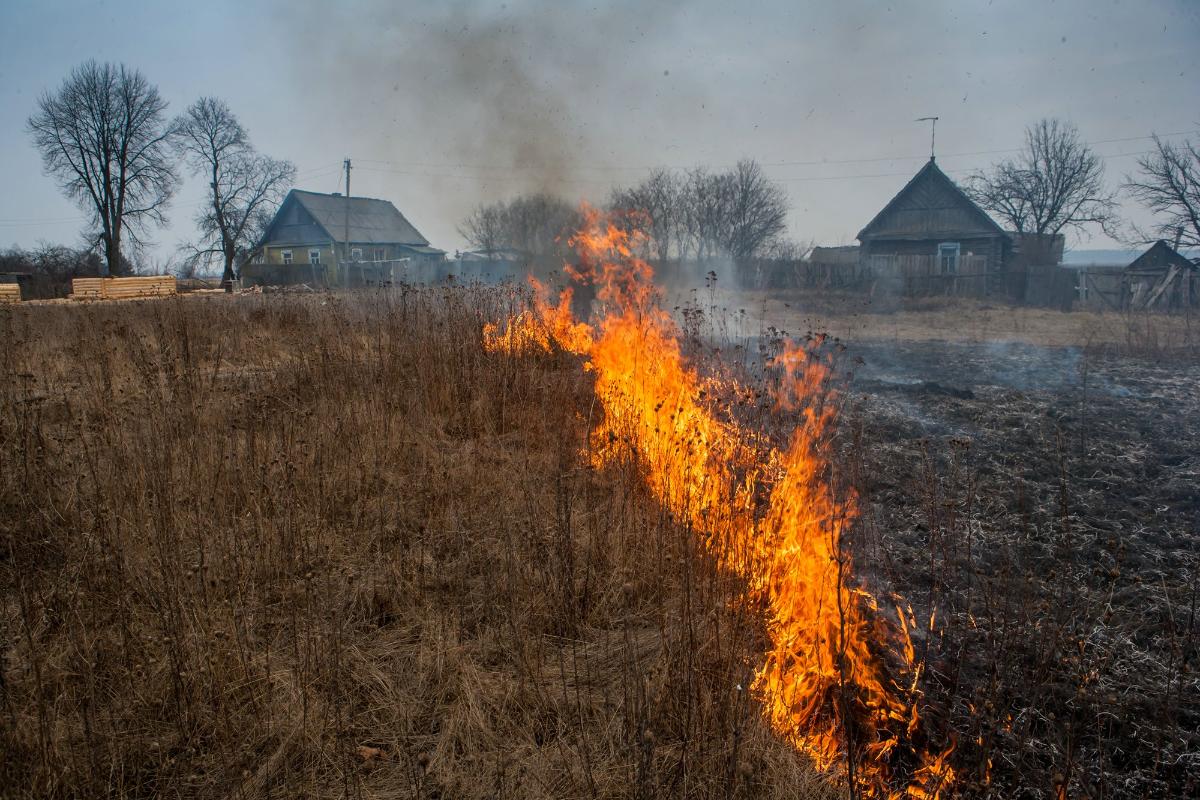 ПАЛ СУХОЙ ТРАВЫ: ОПАСНОСТЬ И ОТВЕТСТВЕННОСТЬ