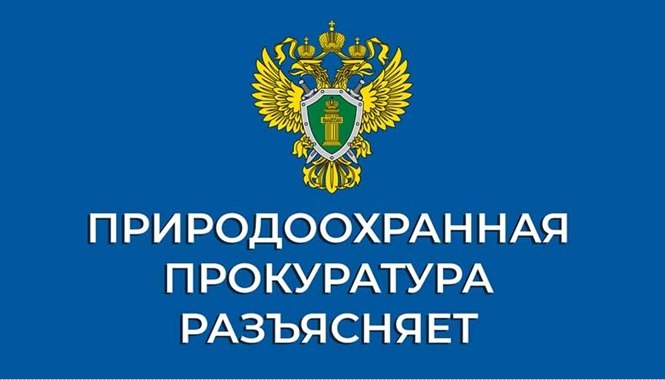 Межрайонный природоохранный прокурор Саратовской области проведет личный прием 