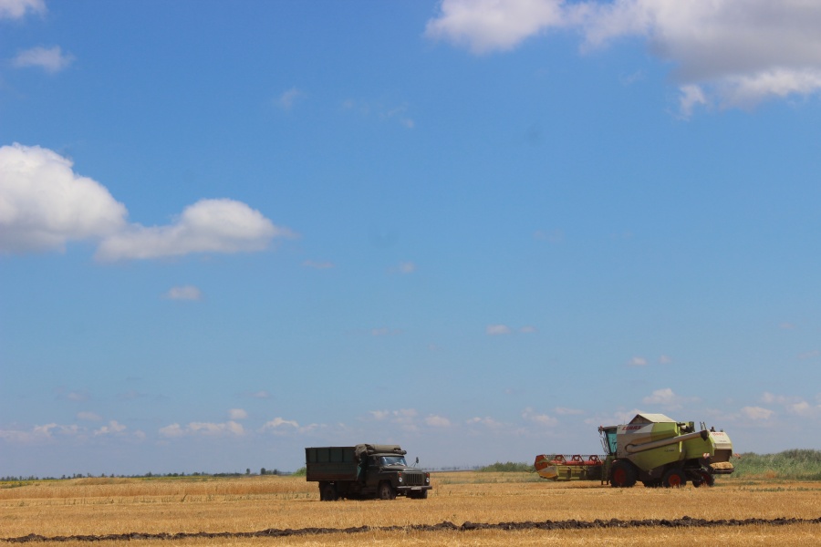 В районе продолжается уборка урожая озимых зерновых культур