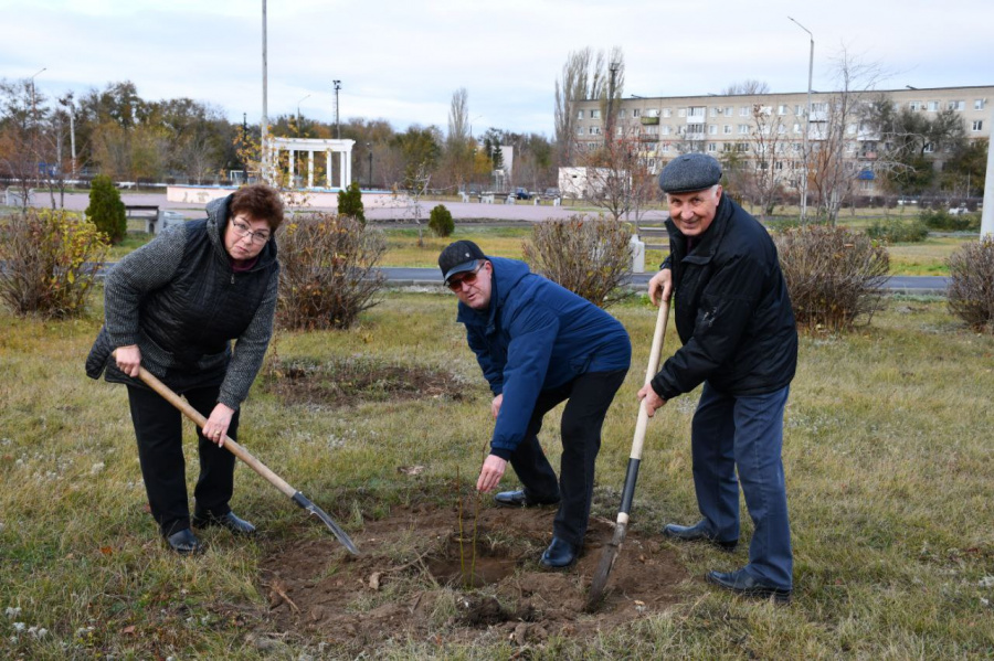 В преддверии праздника Дня народного единства в парке им.Г.С.Лузянина  высадили деревья