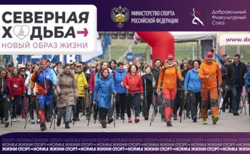В России стартует проект «Северная ходьба – новый образ жизни»