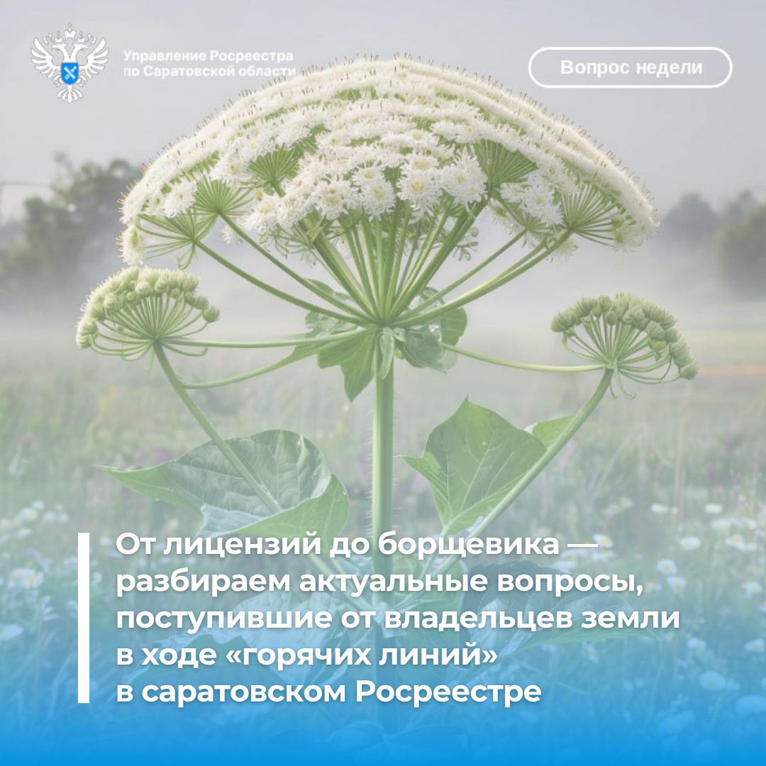 Актуальные вопросы "горячих линий" саратовского Росреестра