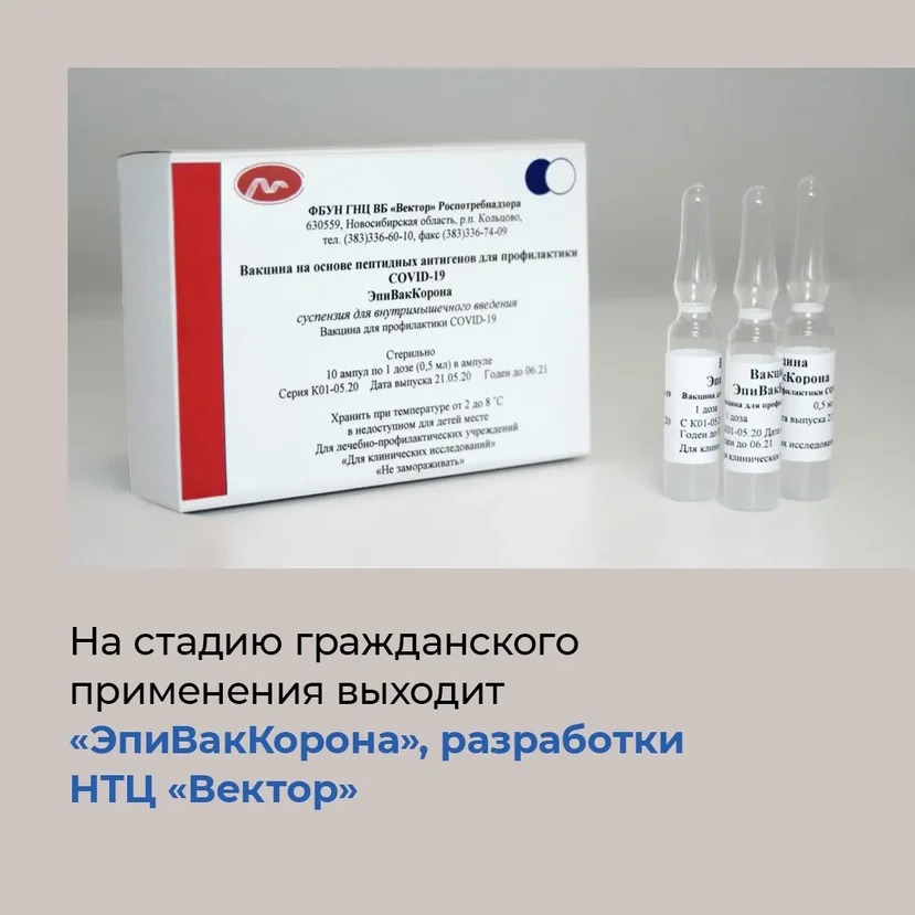 В подмогу «Спутнику»: в России появятся новые отечественные вакцины против коронавируса