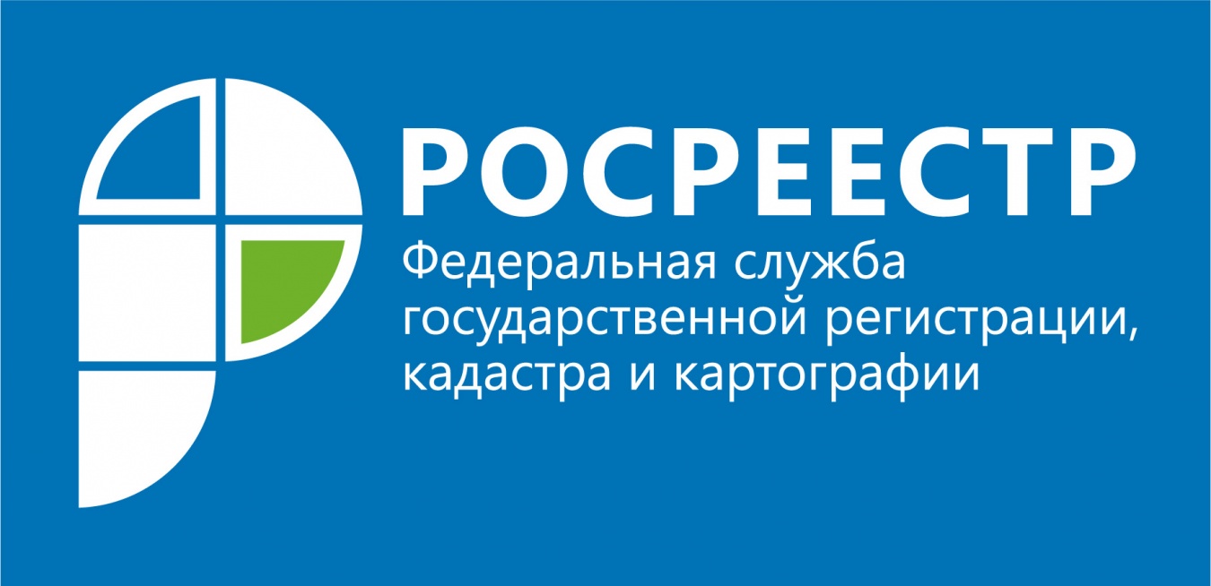 Кадастровая палата запустила сайт для заявителей и владельцев недвижимости
