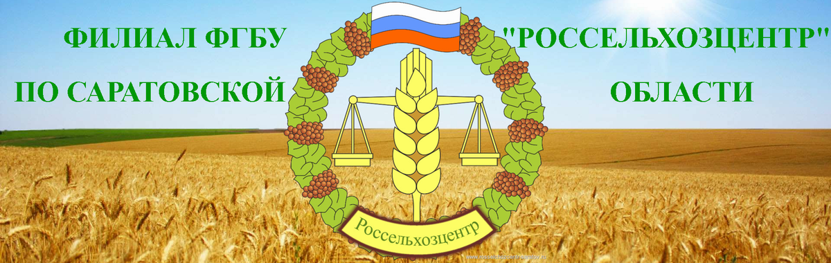 Специалисты Россельхозцентра предупреждают о личинках итальянского пруса