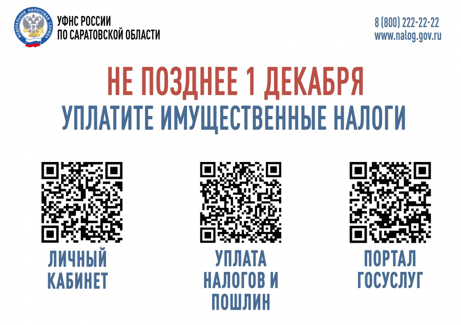 Информация об оплате налогов физическими лицами 