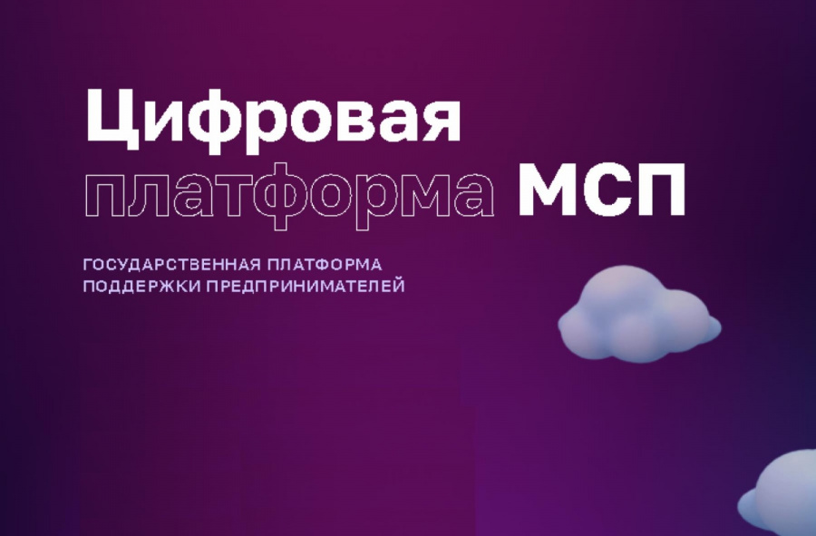 О работе Цифровой платформы МСП.РФ