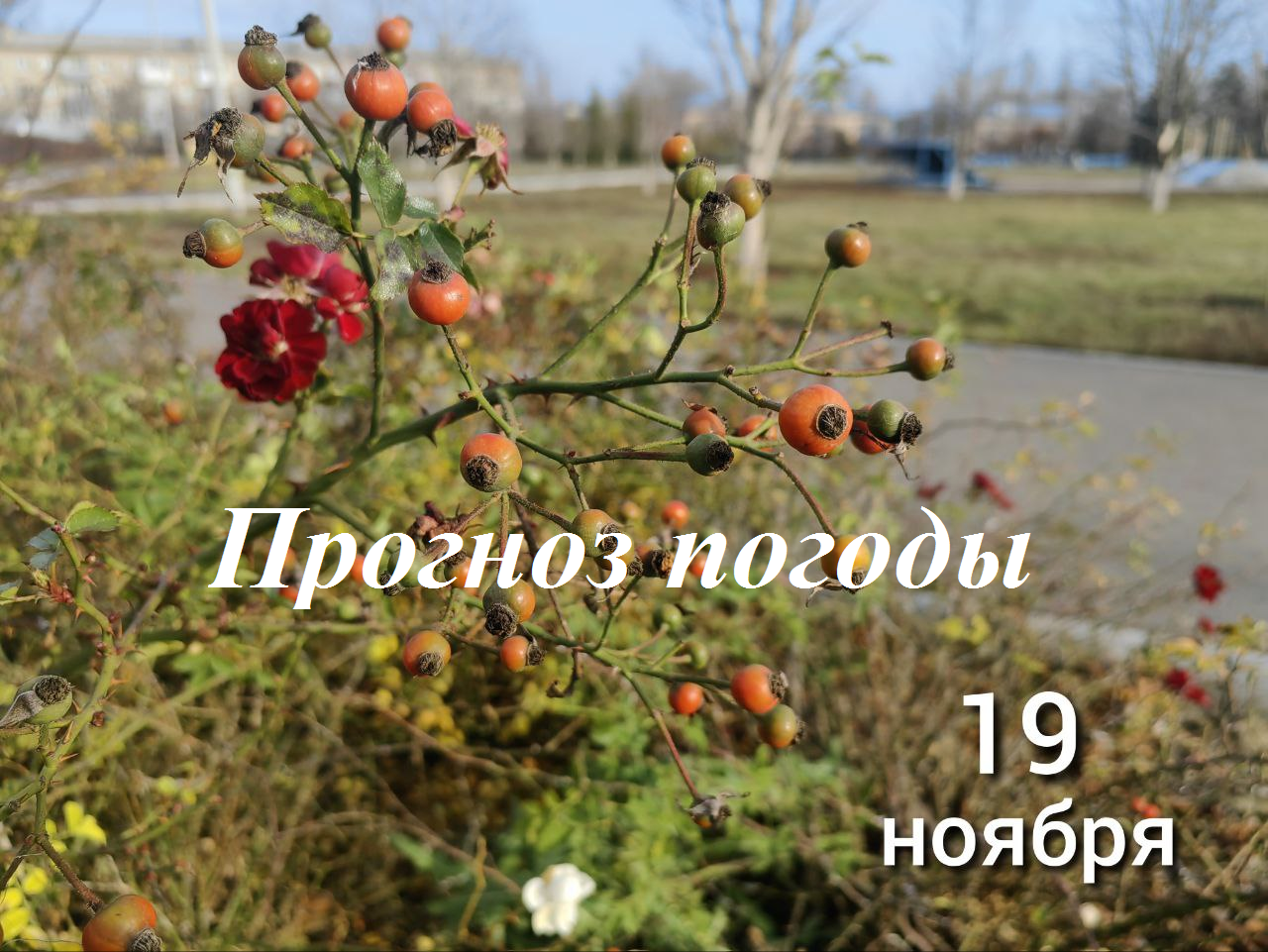 Прогноз погоды
