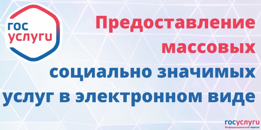 О популяризации массовых социально-значимых услуг в электронном виде