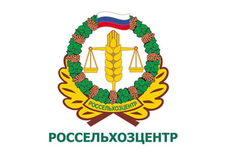 Специалисты «Россельхозцентра» ведут мониторинг всходов озимых культур