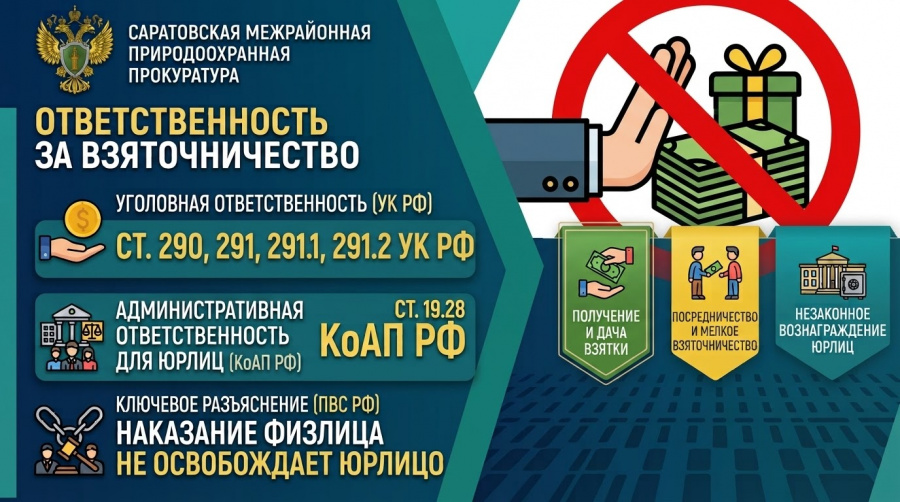 Саратовская межрайонная природоохранная прокуратура разъясняет правовые последствия за взяточничество Саратовская межрайонная природоохранная прокуратура разъясняет правовые последствия за взяточничество