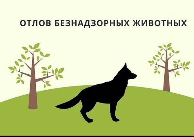 Администрация Советского муниципального района сообщает об отлове животных без владельцев Администрация Советского муниципального района сообщает об отлове животных без владельцев