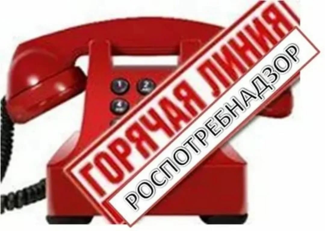 Об организации  работы «горячей линии»