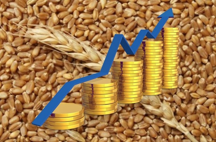 Конференция «Рынок зерна - новые возможности»