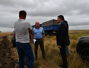 Сельскохозяйственные предприятия Советского района приступили к уборке озимой пшеницы