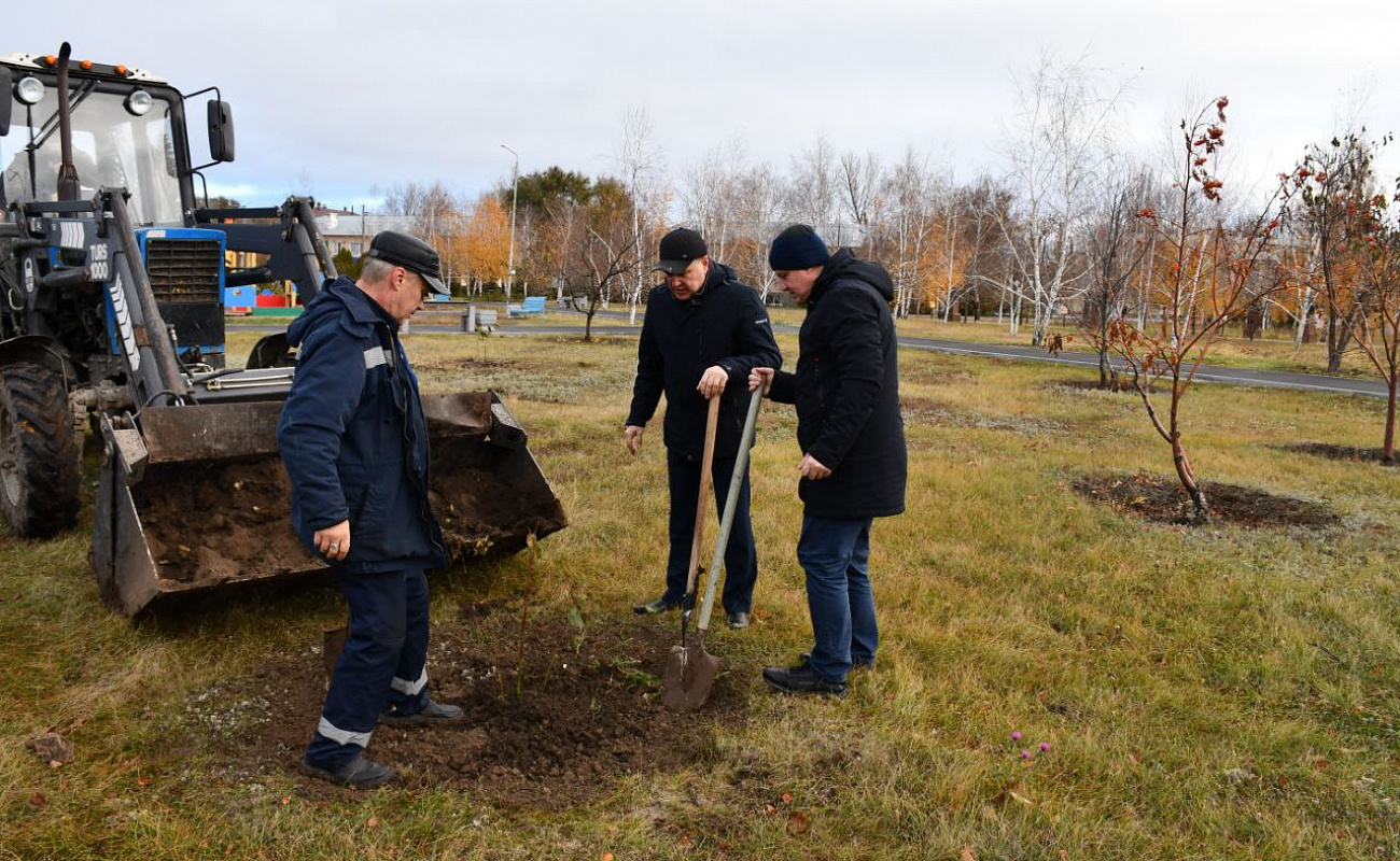 В преддверии праздника Дня народного единства в парке им.Г.С.Лузянина  высадили деревья | 03.11.2023 | Степное - БезФормата