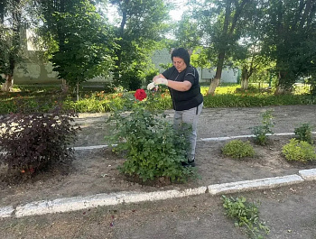 Сотрудниками управления образования проведен субботник 