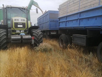 Сельскохозяйственные предприятия Советского района приступили к уборке озимой пшеницы